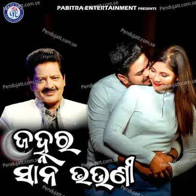 Janha Ra Sana Bhauni - Udit Narayan album cover 