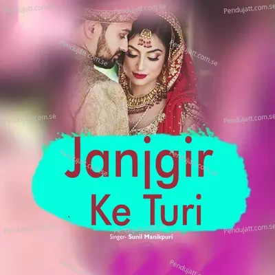 Janjgir Ke Turi - Sunil Manikpuri album cover 