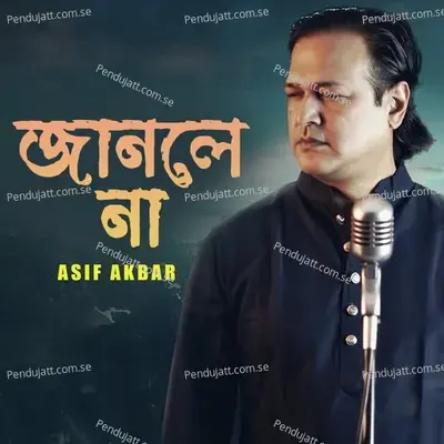 Janle Na - Asif Akbar album cover 