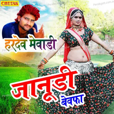 Janoodi Bewafa - Hardev Mewadi album cover 