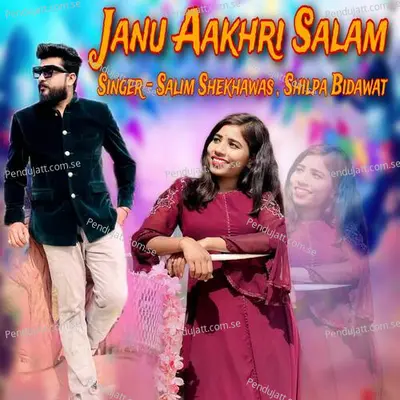 Janu Aakhri Salam - Salim Shekhawas album cover 