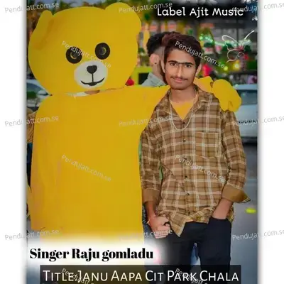 Janu Aapa City Park Chala - Sintu Boss album cover 