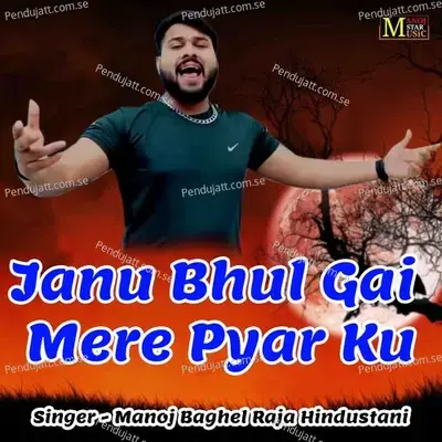 Janu Bhul Gai Mere Pyar Ku - Manoj Baghel Raja Hindustani album cover 