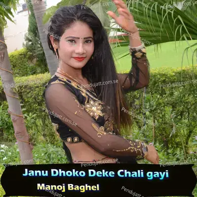 Janu Dhoko Deke Chali Gayi - Manoj Baghel