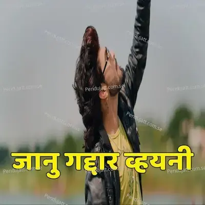 Janu Gaddar Vhayani - Bhaiya More album cover 