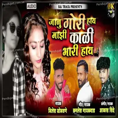 Janu Gori Haay Majhi Kali Bhari Haay - Nilesh Sonawane album cover 