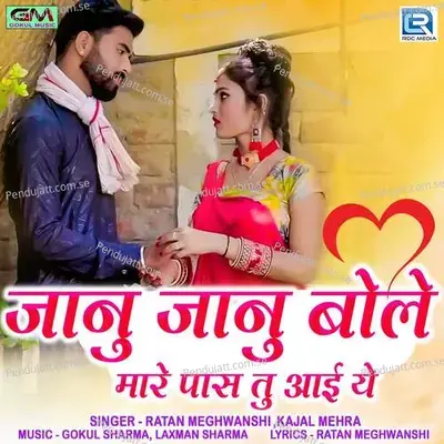 Janu Janu Bole Mare Pass Tu Aai Ye - Ratan Meghwanshi album cover 