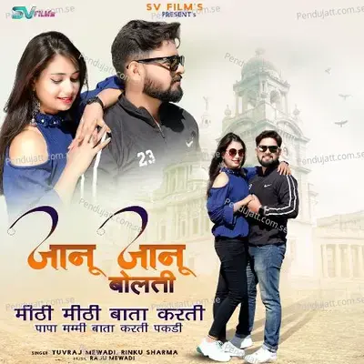 Janu Janu Bolti Mithi Mithi Bata Karti - Yuvraj Mewadi album cover 