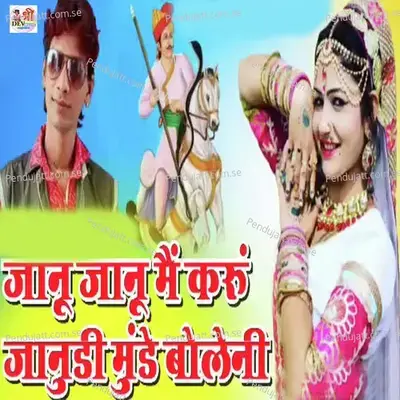 Janu Janu Me Karu Janudi Munde Bole Ni - Raju Rawal album cover 