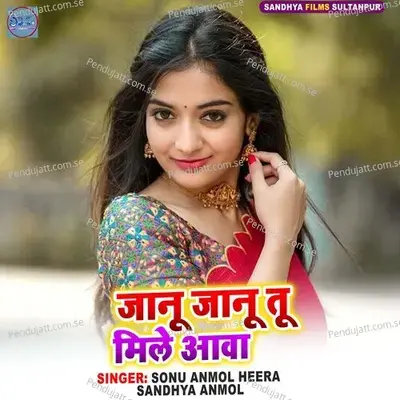 Janu Janu Tu Mile Aawa - Sonu Anmol Heera album cover 