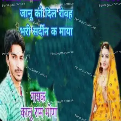 Janu Ko Dil Rovah Bhari Sardin Ke Maya - Kalu Ram Meena album cover 