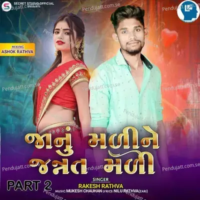Janu Maline Jannat Mali Part 2 - Rakesh Rathva album cover 