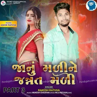 Janu Maline Jannat Mali Part 3 - Rakesh Rathva album cover 