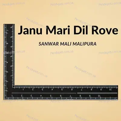 Janu Mari Dil Rove - SANWAR MALI MALIPURA album cover 