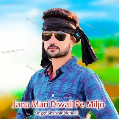 Janu Mari Diwali Pe Miljo - Shankar Bidhudi album cover 
