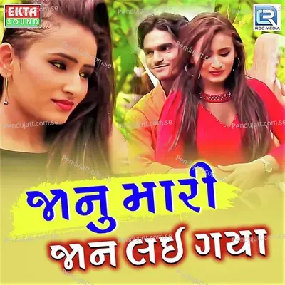 Janu Mari Jaan Lai Gaya - Raju Thakor album cover 