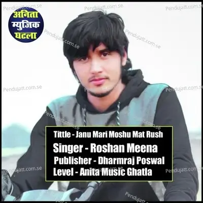 Janu Mari Moshu Mat Rush - Roshan Meena album cover 