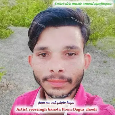 Janu Me Suk Pinjro Hogo - Veersingh Banota album cover 