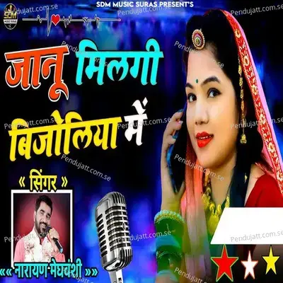 Janu Milgi Bijoliya Me - Narayan Meghvanshi album cover 