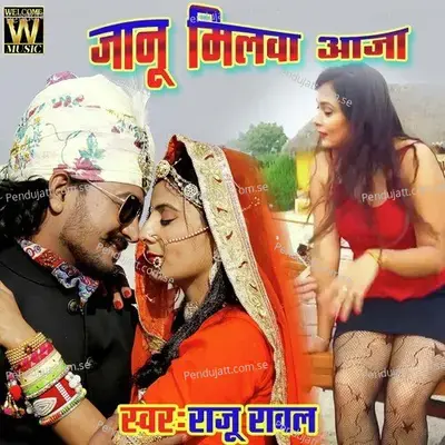 Janu Milwa Aaja - Raju Rawal album cover 