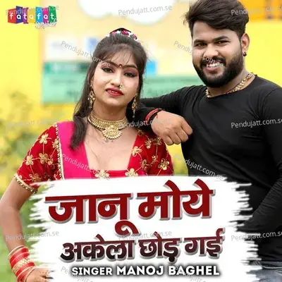 Janu Moe Akela Chhor Gayi - Manoj Baghel album cover 