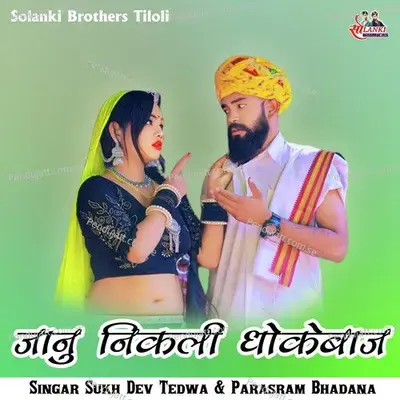 Janu Nikali Dhokebaj - Parasram Bhadana album cover 