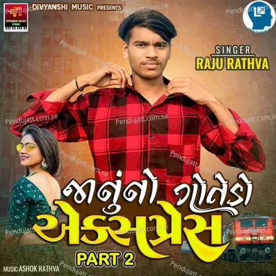 Janu No Gotedo Express Part 2 - Raju Rathva album cover 