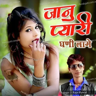 Janu Pyari Gani Lage - Raju Rawal album cover 