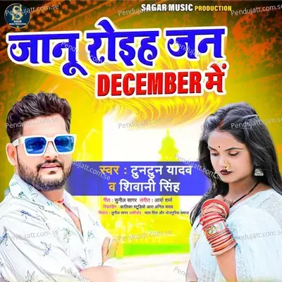 Janu Roihe Jan December Me - Tuntun Yadav album cover 