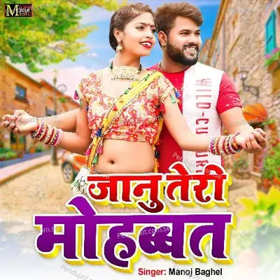 Janu Teri Mohabbat - Manoj Baghel album cover 