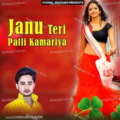 Janu Teri Patli Kamariya - Lovekush Dungri cover album