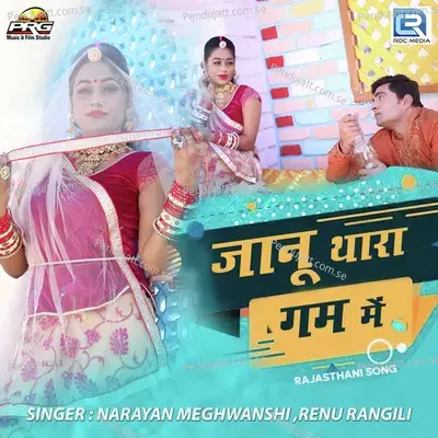 Janu Thara Gam Me - Narayan Maghwanshi album cover 