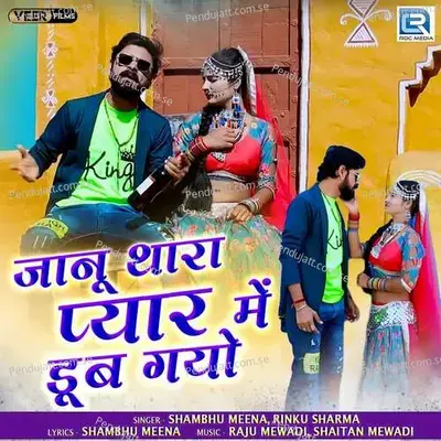Janu Thara Pyar Me Dub Gayo - Shambhu Meena album cover 