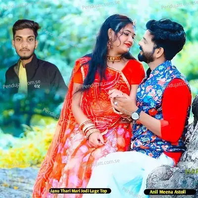 Janu Thari Mari Jodi Lage Top - Anil Meena Astoli album cover 