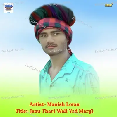 Janu Thari Wali Yad Margi - MANISH LOTAN album cover 