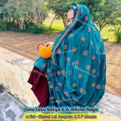 Janu Tosu Bolya 6 6 Mhina Hoga - Bharat Lal Anopura album cover 