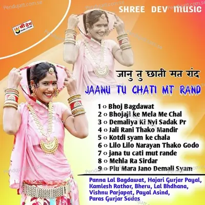 Jali Rani Thako Mandir - Panna Lal Bagdawat album cover 