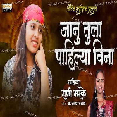 Janu Tula Pahilya Vina - Rani Maske album cover 