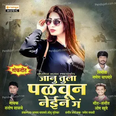 Janu Tula Palvun Nein Ga - Santosh Salve album cover 