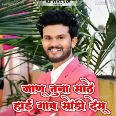 Janu Tuna Sathe Hai Gav Sodi Desu - Prashant Desale album cover 