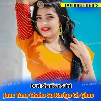 Janu Tune Chaku Su Kariyo Ch Ghav - Devi Shankar Saini album cover 