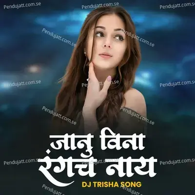 Janu Vina Rangach Naay - Rani Maske album cover 