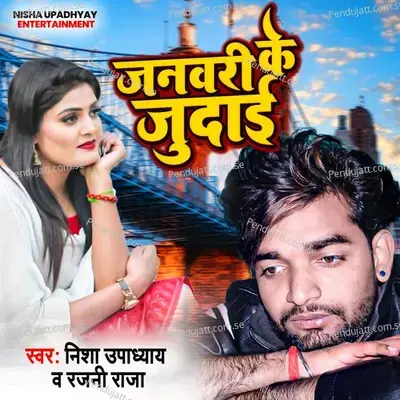 January Ke Judai - Nisha Upadhyay album cover 