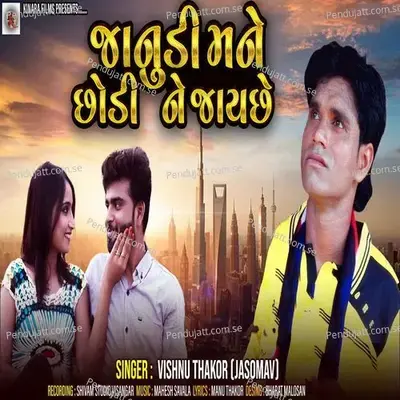 Janudi Mane Chodi Ne Jay Che - Vishnu Thakor album cover 