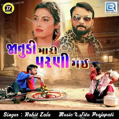 Janudi Mari Parni Gai - Rohit Zala album cover 