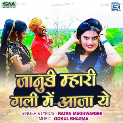 Janudi Mhari Gali Me Aaja Ye - Ratan Meghwanshi album cover 