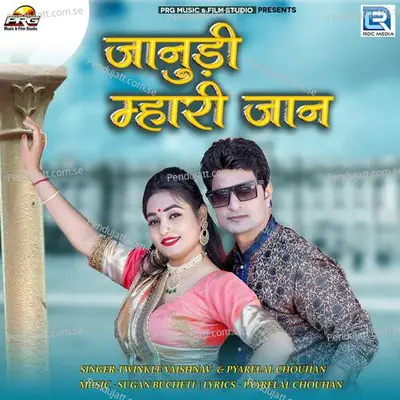 Janudi Mhari Jaan - Pyarelal Chouhan album cover 