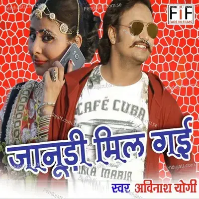 Janudi Mil Gai - 2 - Avinash Yogi album cover 