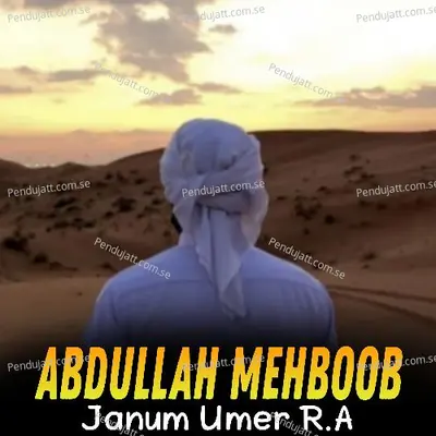 Janum Umer R a - Abdullah Mehboob album cover 