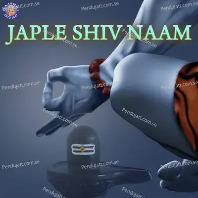 Japle Shiv Naam - Various Artists